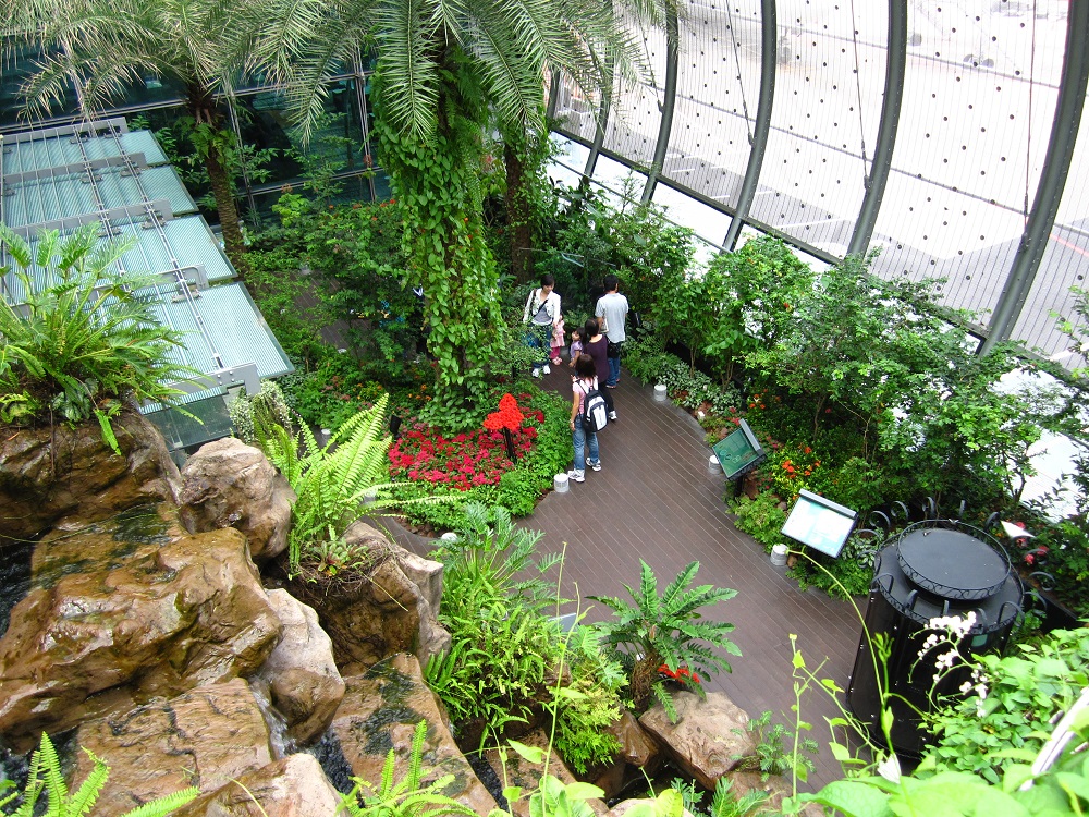 The details in the design of Changi Airport The details in the design of Changi Airport